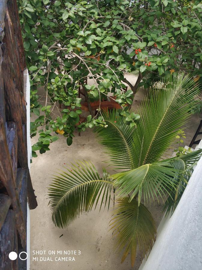 Posada Yalekin Holbox Exterior foto